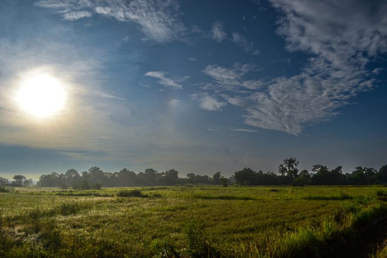 Exploring the Beauty of Uva and Beyond