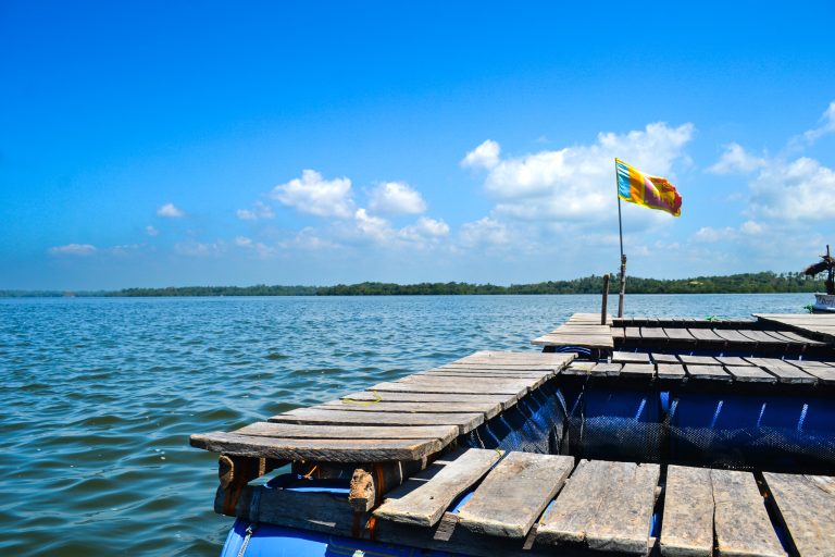 A Memorable River Safari Madu ganga